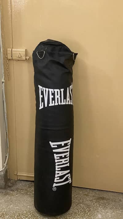 Everlast punching bag + gloves
