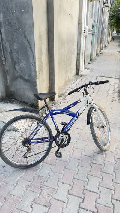 Phoenix Cycle