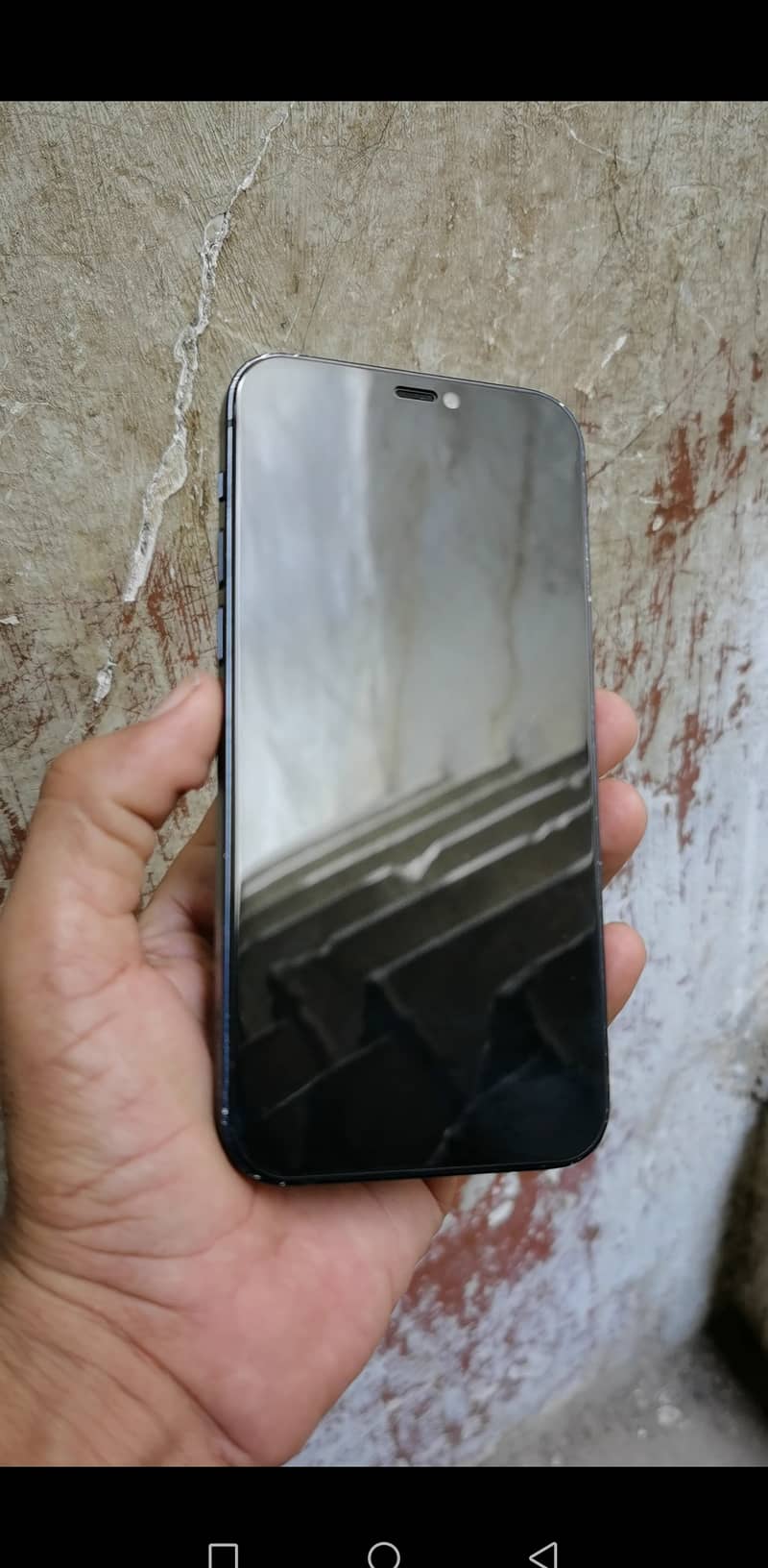 Apple iPhone 12 1