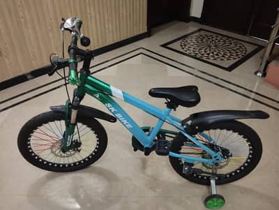 Brand New Cycle