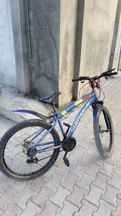 Sumac Bicycle