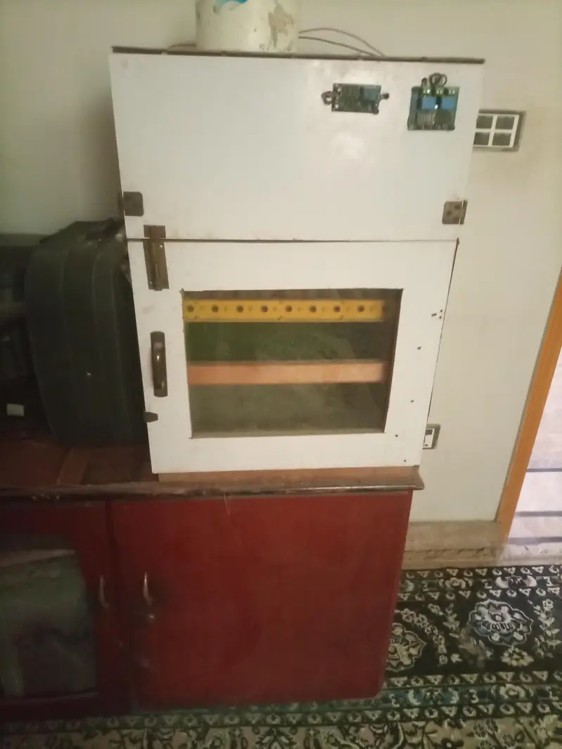 Automatic Incubator for sale — photo 2