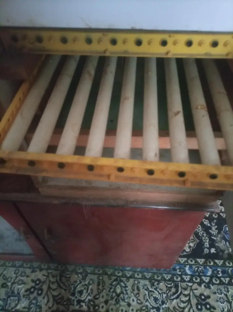 Automatic Incubator for sale — photo 3