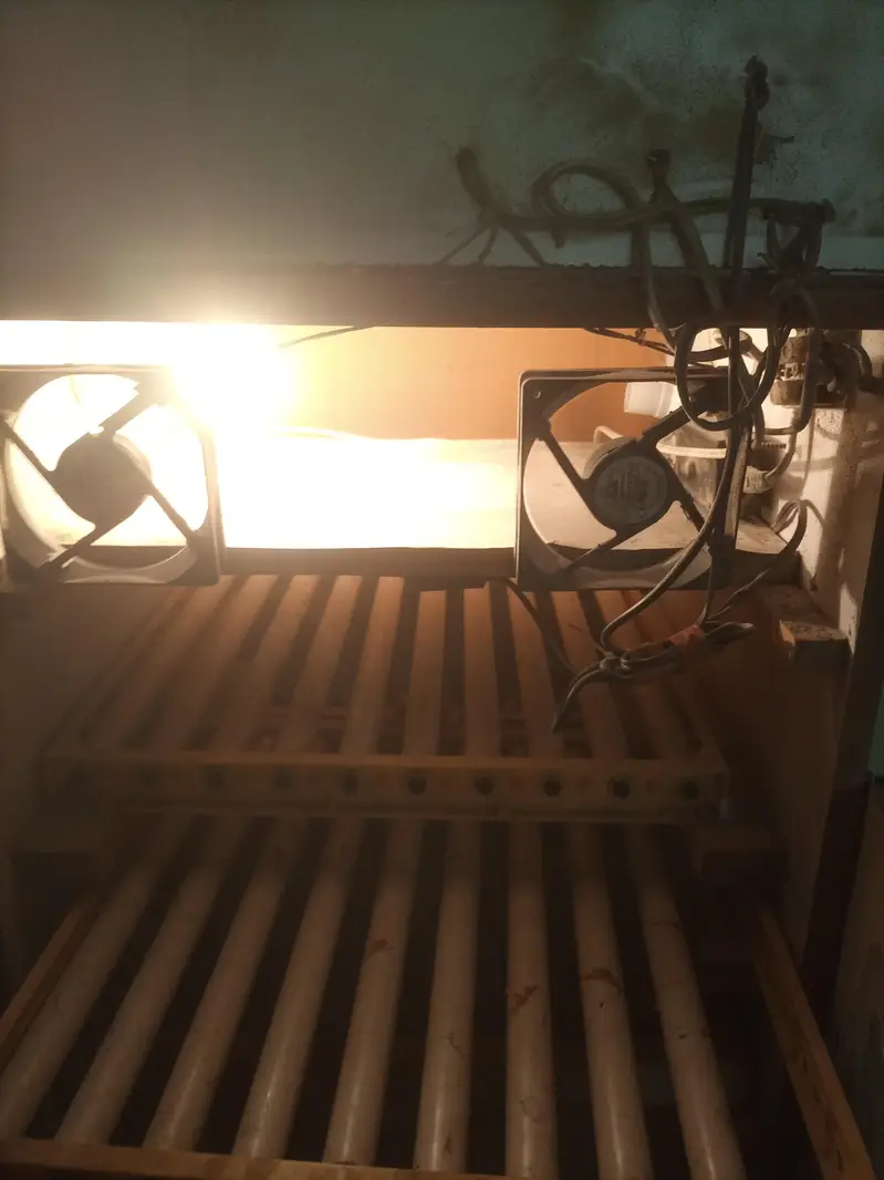 Automatic Incubator for sale — photo 4