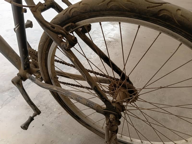 full size cycle 3