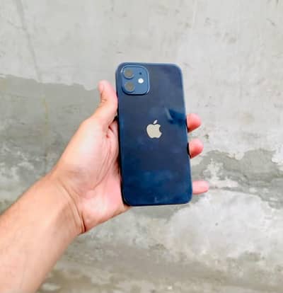 Apple iPhone 12