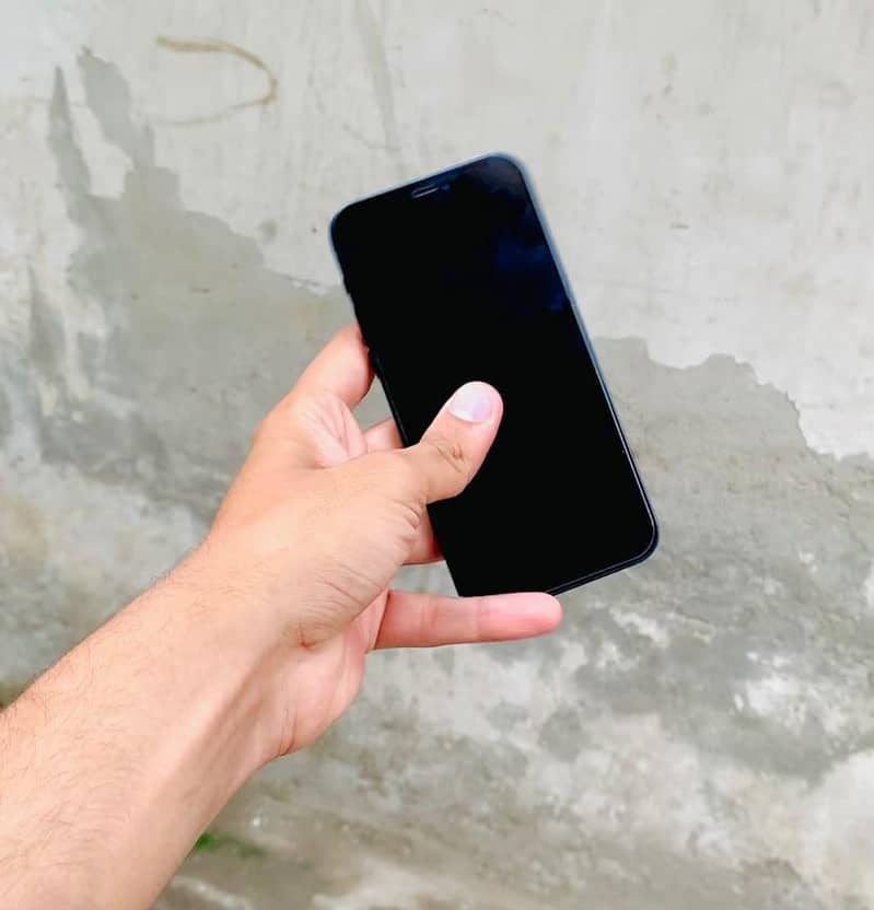 Apple iPhone 12 1