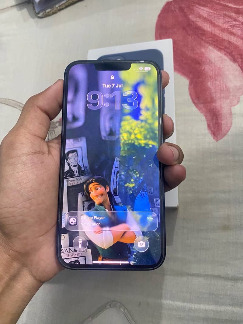 Apple iPhone 13 0