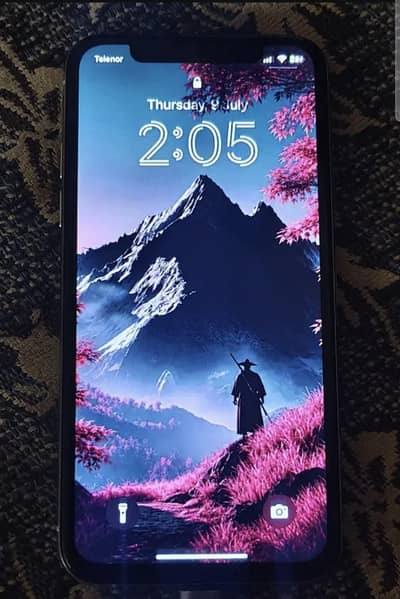 iPhone XS Panel