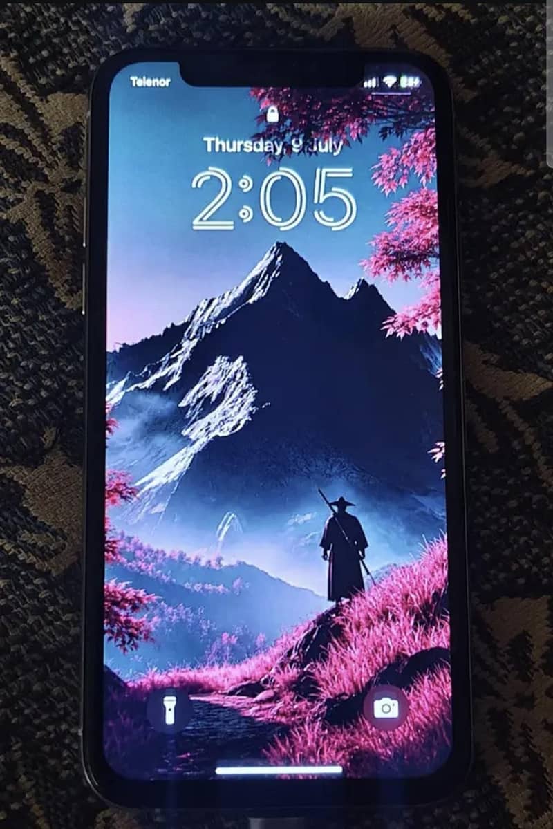 iPhone XS Panel 0