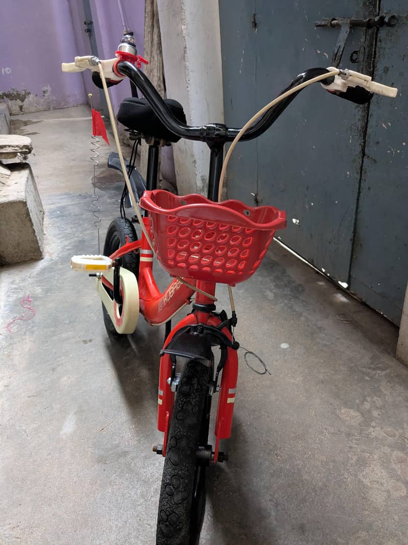 bycycle 2