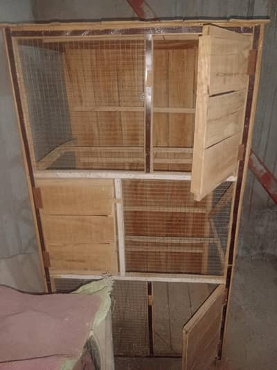 Bird Cage