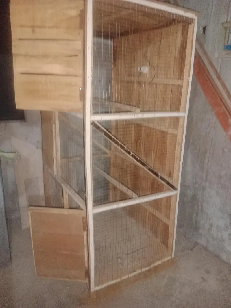 Bird Cage — photo 2