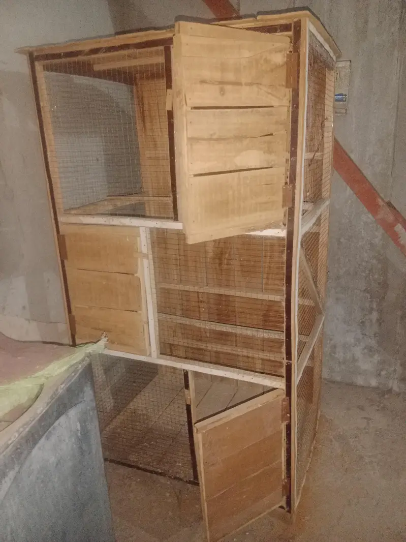Bird Cage — photo 3