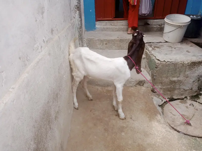 for sale female contact number 03155 911 647 — photo 2