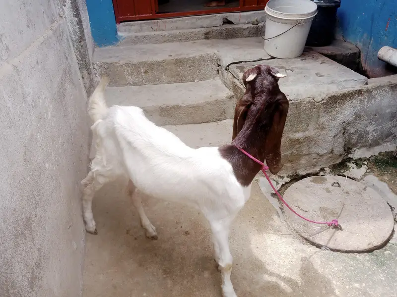 for sale female contact number 03155 911 647 — photo 3