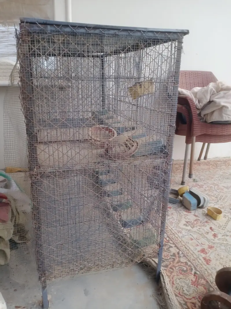 6 portion angle cage — photo 2