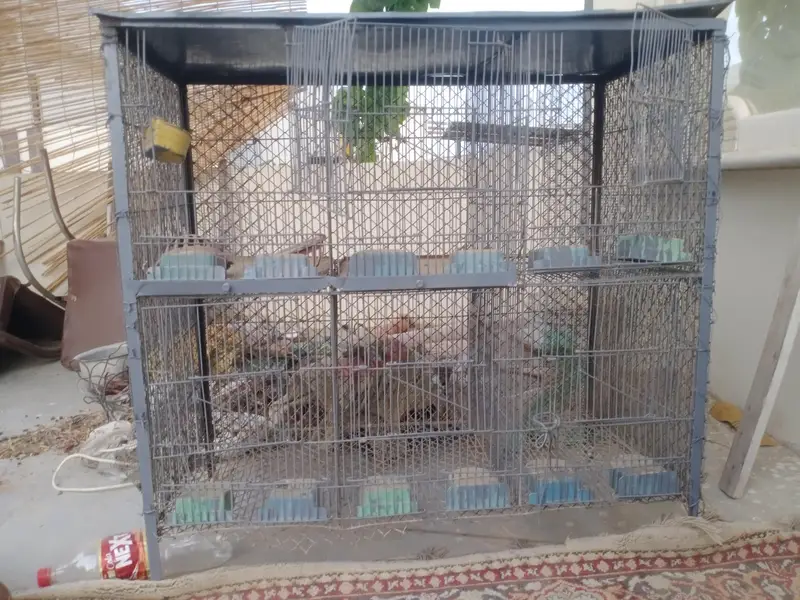 6 portion angle cage — photo 3
