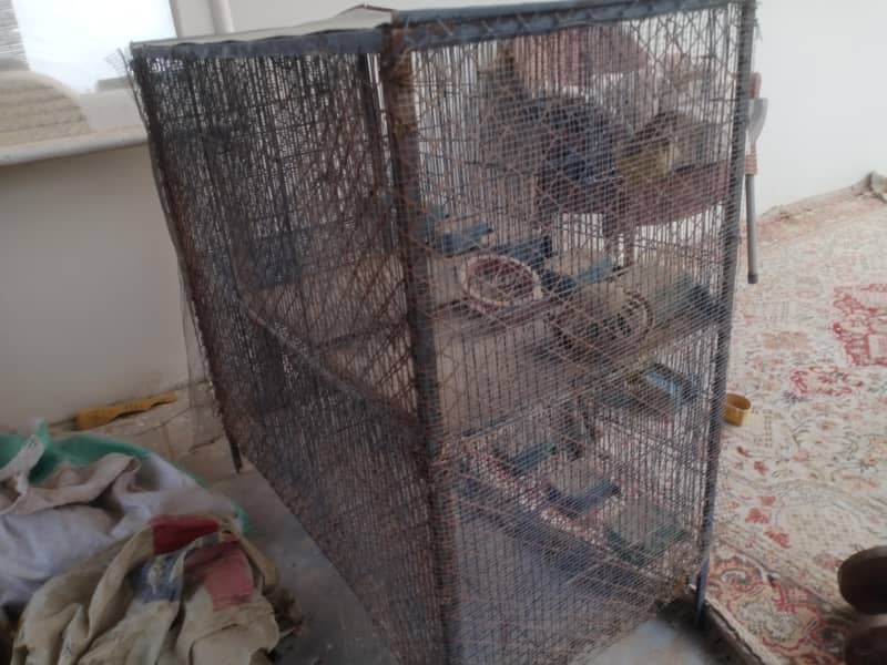 6 portion angle cage 3