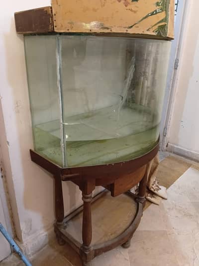 aquarium