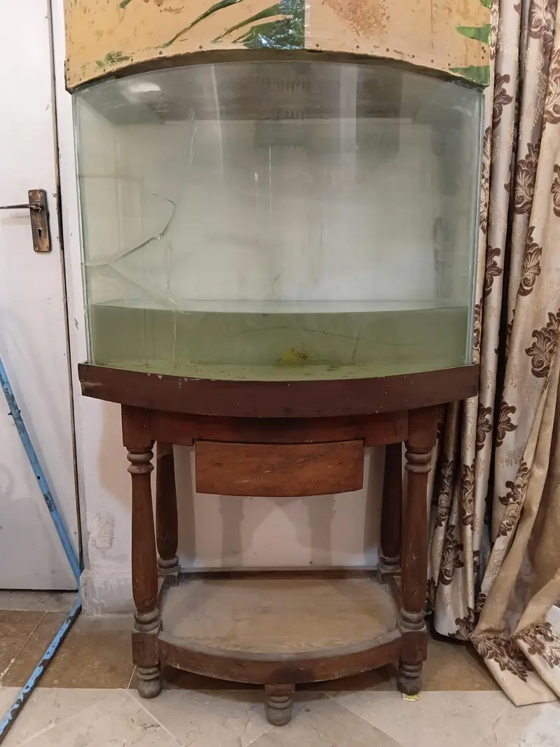 aquarium — photo 2