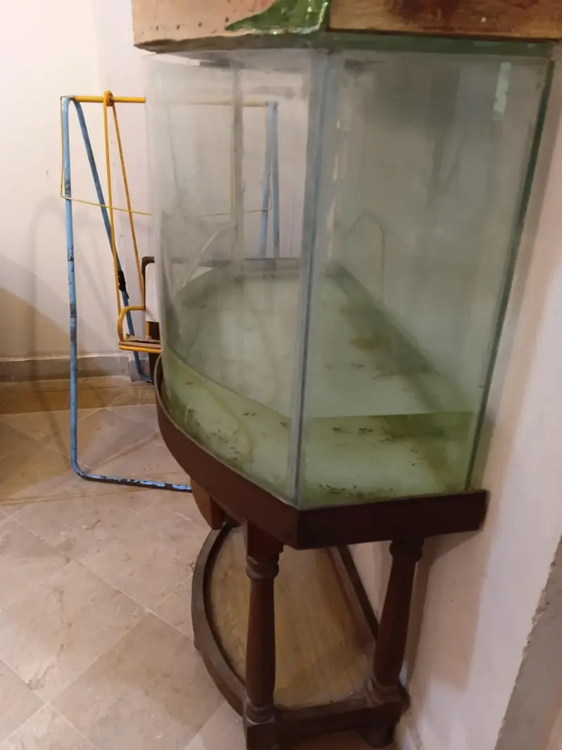 aquarium — photo 3