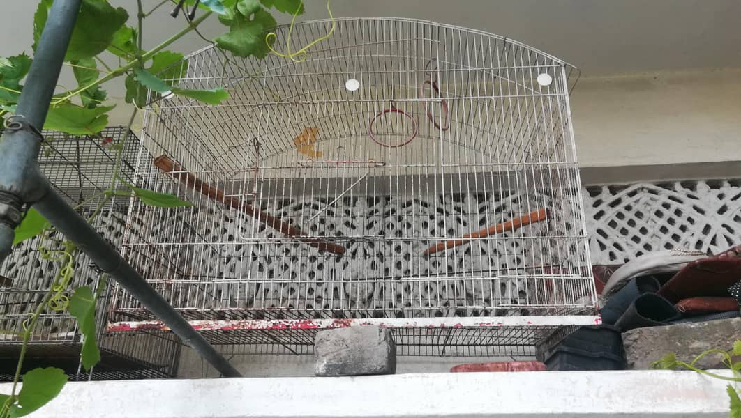 cage or 0