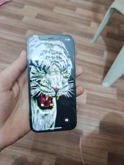 Apple iPhone 12 Pro