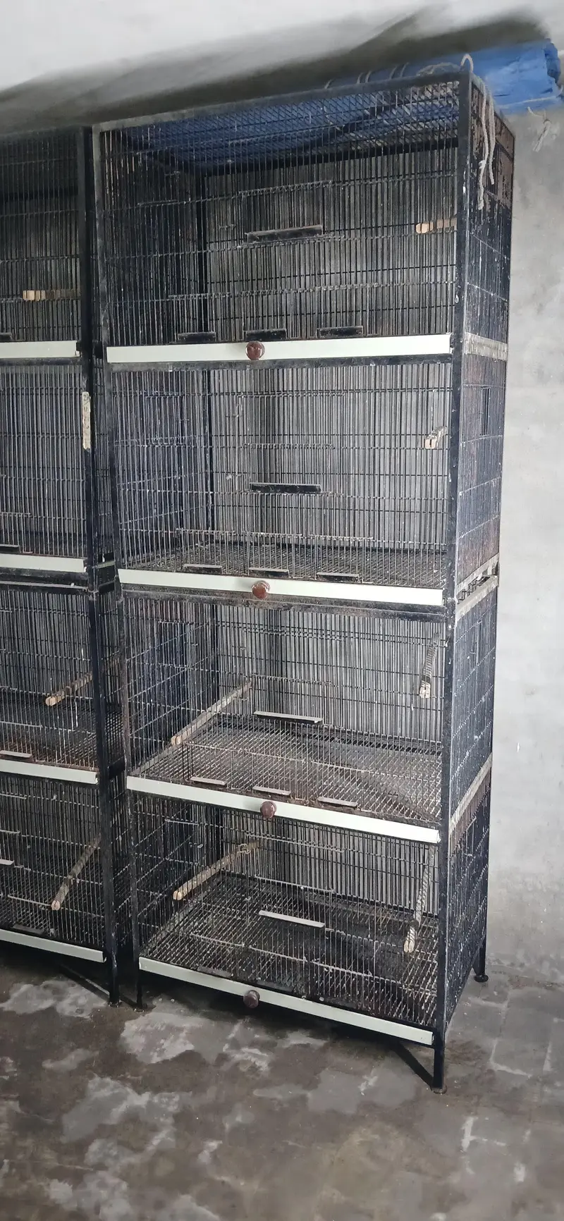 cages for sale cocktail size 2.5×1.5×1.5 — photo 2