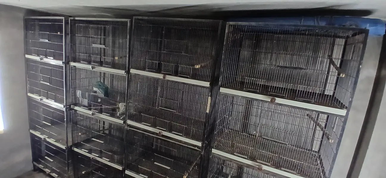 cages for sale cocktail size 2.5×1.5×1.5 — photo 3