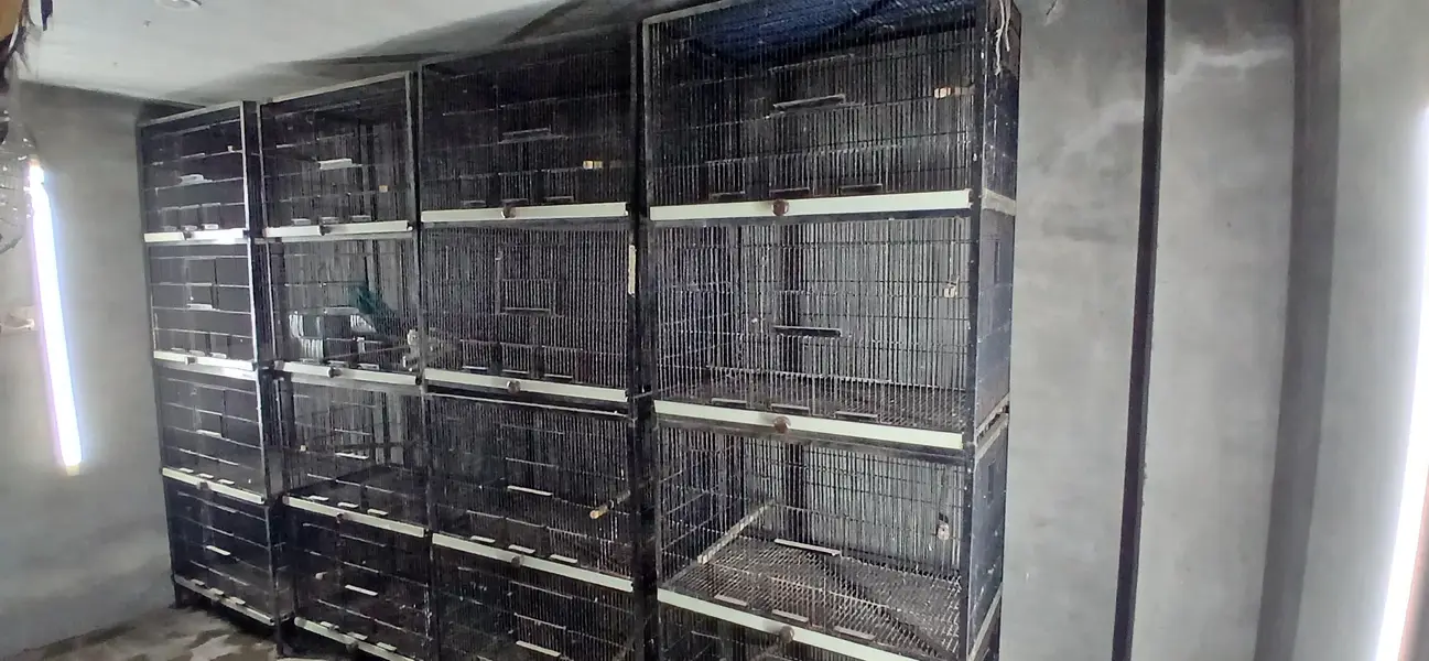 cages for sale cocktail size 2.5×1.5×1.5 — photo 4