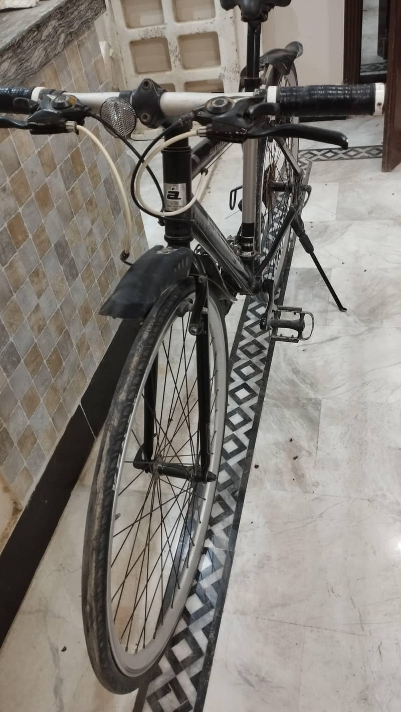 Bicycle 6