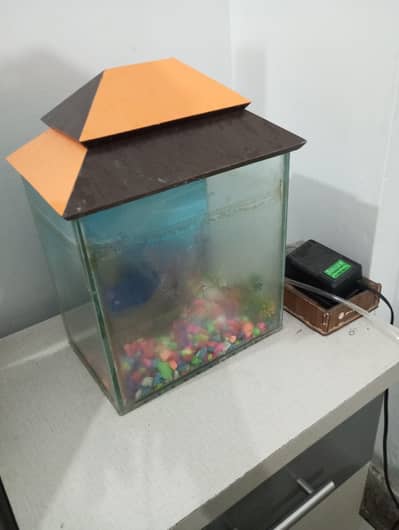 FISH AQUARIUM WIF FILTER