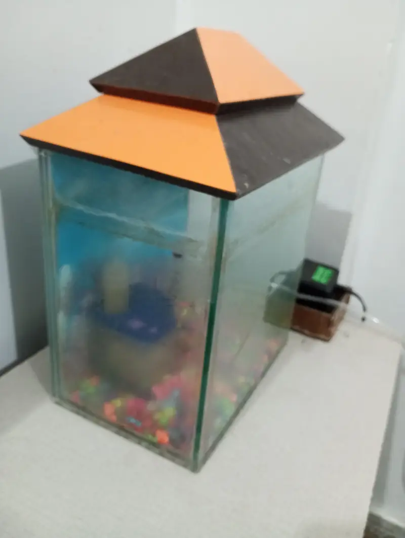 FISH AQUARIUM WIF FILTER — photo 2