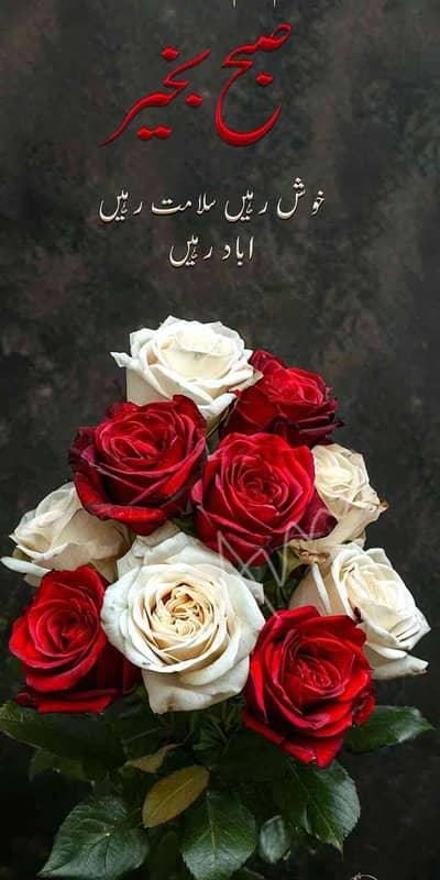 Rehman Ali 