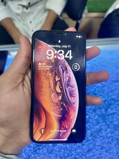 Apple iPhone X