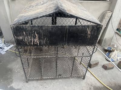 Hen House