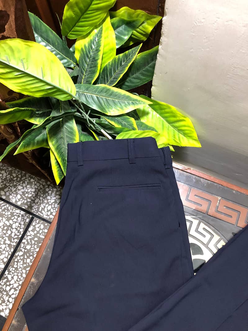 Imported pant 6
