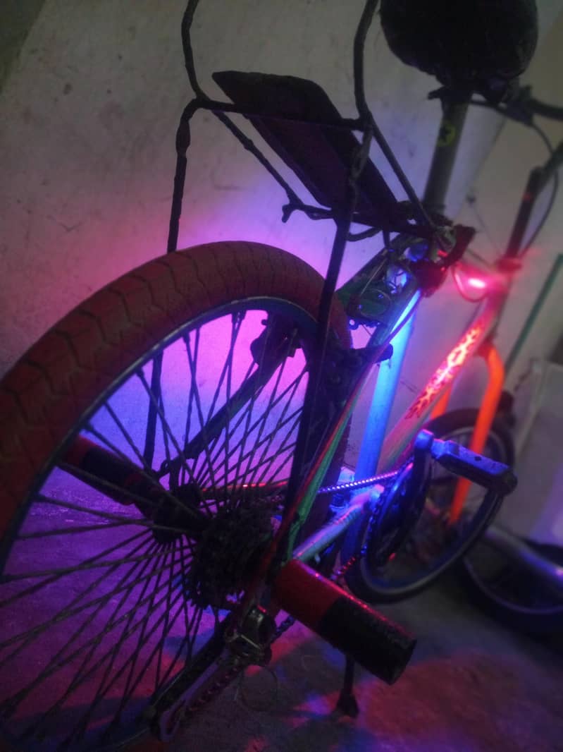 Phoenix frame cycle. 2