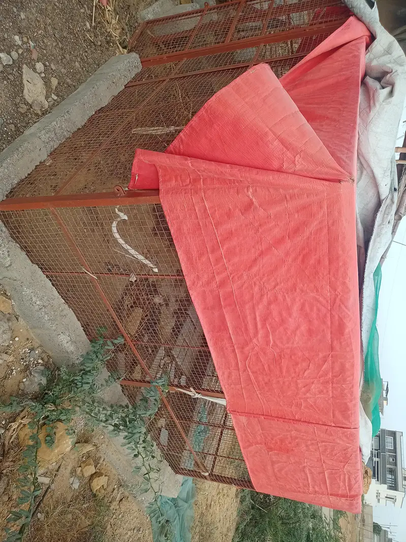 cages  for chicken. pijon. peret and goat — photo 3