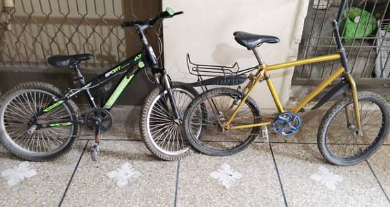 2 cycle hai