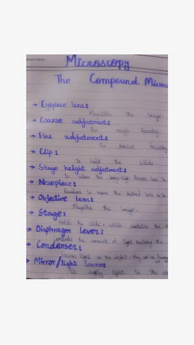 assignment work