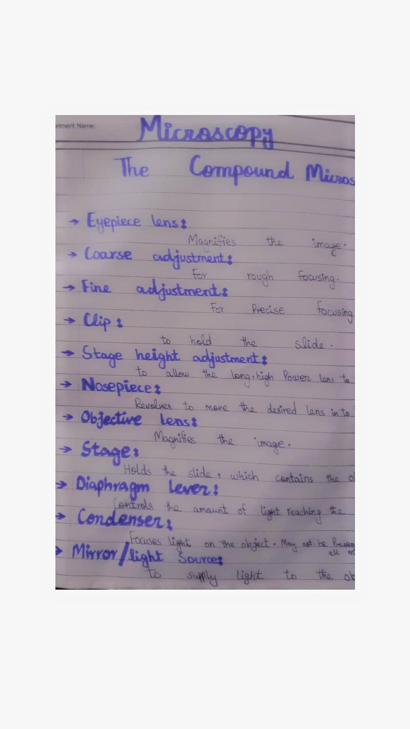 assignment work 0