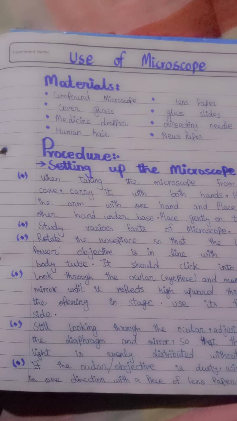 assignment work 1