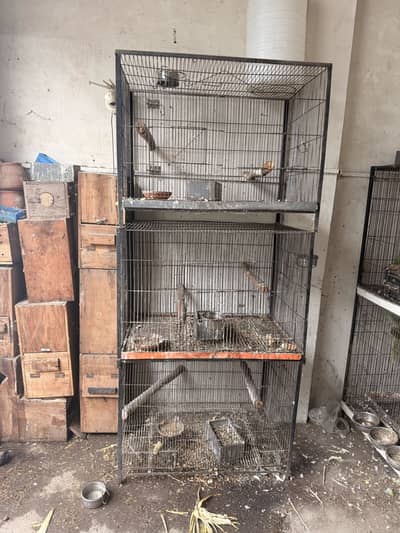 Cage For Sale