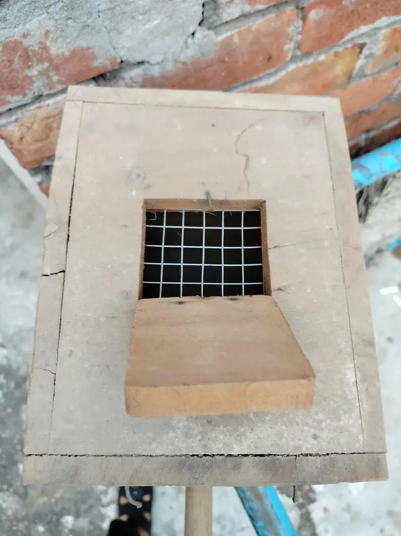 lovebirds boxes — photo 3