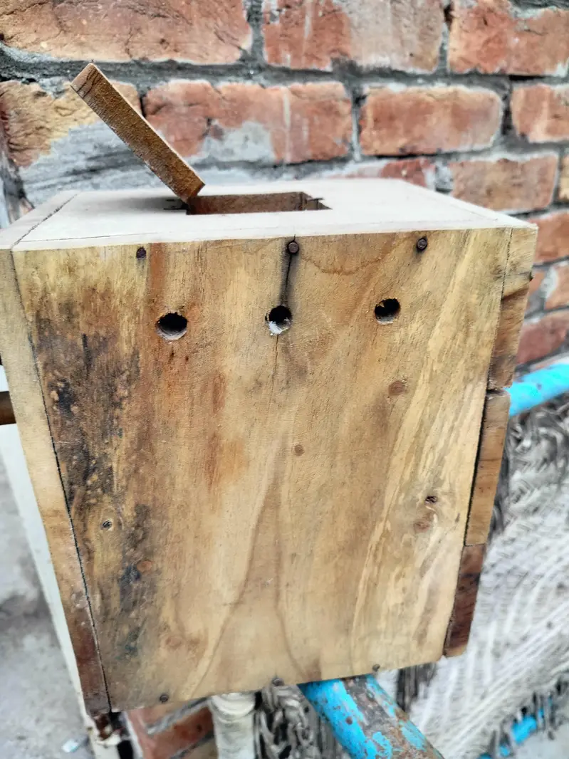 lovebirds boxes — photo 4