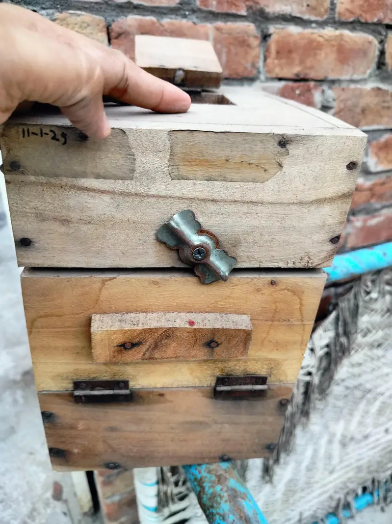 lovebirds boxes — photo 5