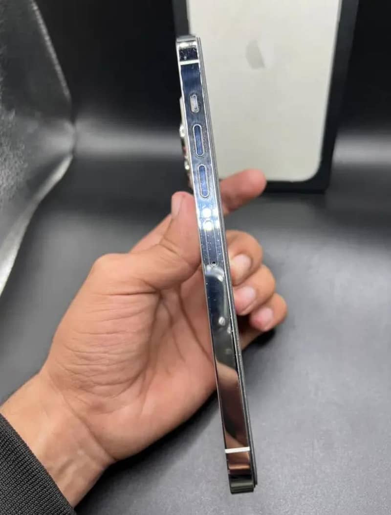 Apple iPhone 13 Pro Max 1
