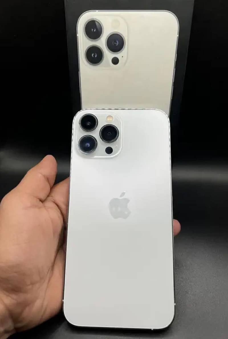 Apple iPhone 13 Pro Max 10